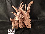 IMG 4459
