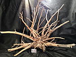 IMG 4710