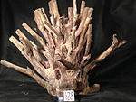 IMG 4877