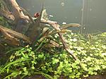 IMG 20201227 151115