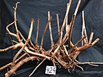 IMG 4788