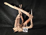 IMG 4906