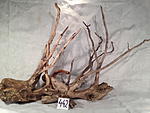 IMG 5027