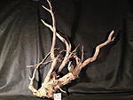 IMG 4772