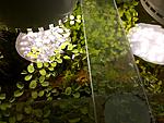 IMG 20210206 183455