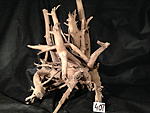 IMG 4688