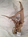 IMG 5037