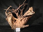 IMG 4899