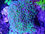 IMG 20210105 141846 resize 35