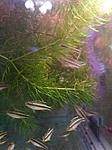 IMG 20210114 210846