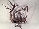 IMG 5258