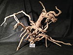 IMG 4756