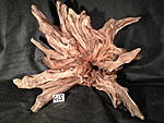IMG 4729