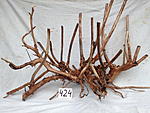 IMG 4784