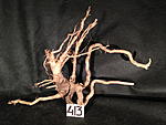 IMG 4721
