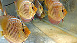 IMG 5982