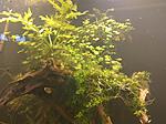 IMG 20201227 151109