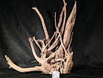 IMG 4894