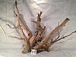 IMG 5030