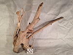 IMG 5056