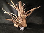IMG 4863