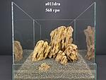 a011dra 01 1