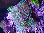 IMG 20210105 141813 resize 54