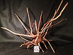IMG 4886