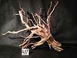 IMG 4741