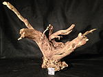 IMG 4883