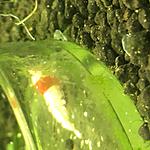 IMG 1592