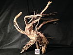 IMG 4761