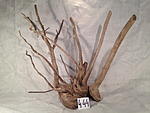 IMG 5034
