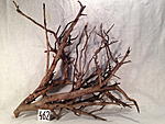 IMG 5282