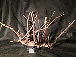 IMG 4720