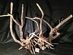 IMG 4726