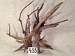 IMG 5273