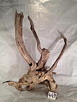 IMG 5048