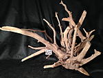 IMG 4714