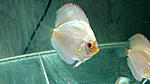 IMG 6354