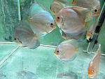 IMG 6524