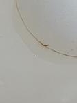 IMG 20210413 105602