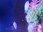 IMG 20210601 161847