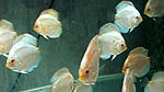 IMG 6353