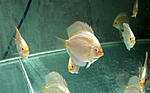 IMG 6351