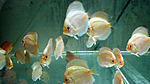 IMG 6357