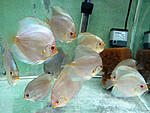 IMG 6523