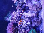 IMG 20210601 161823