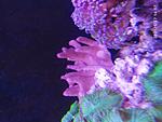 IMG 20210527 161756