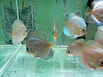IMG 6514